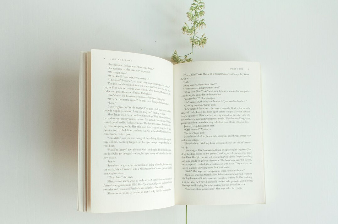Open book and plant on a table symbolizing learning and growth